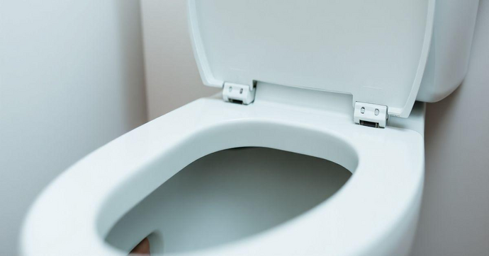 Anel de Vedação para Caixa Acoplada: Guia Completo