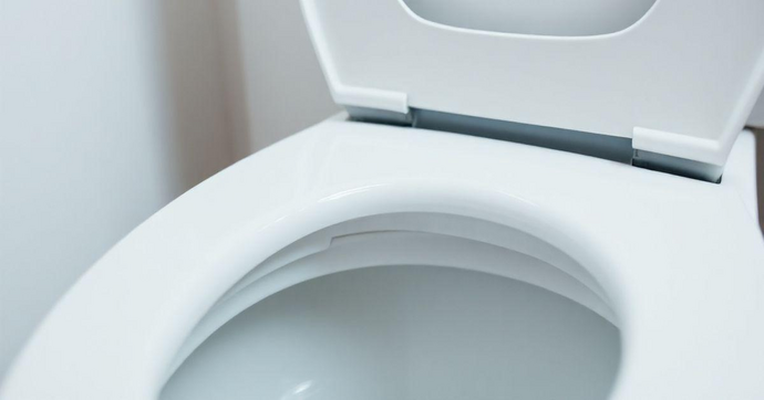Anel de Vedação Vaso Sanitário Preço Acessível
